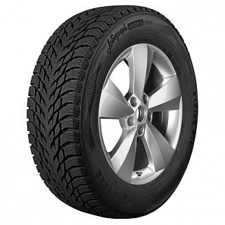 Шина Ikon Autograph Snow 3 SUV 255/40 R20 101T XL